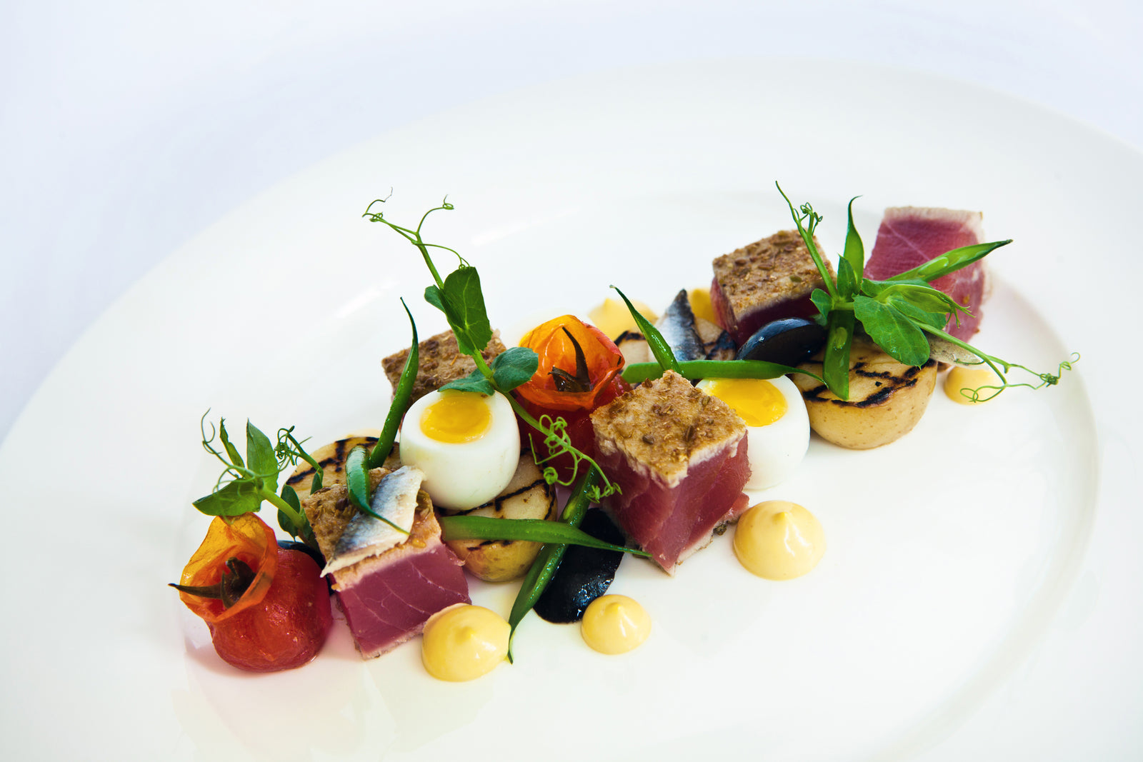 One Fine Dine
